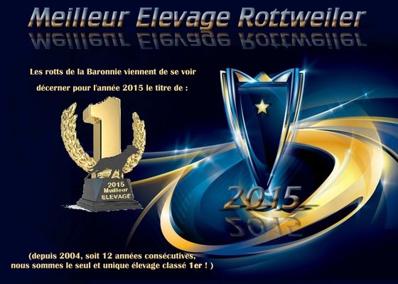 des Rotts de la Baronnie - Meilleur Elevage Rottweiler de France 2015