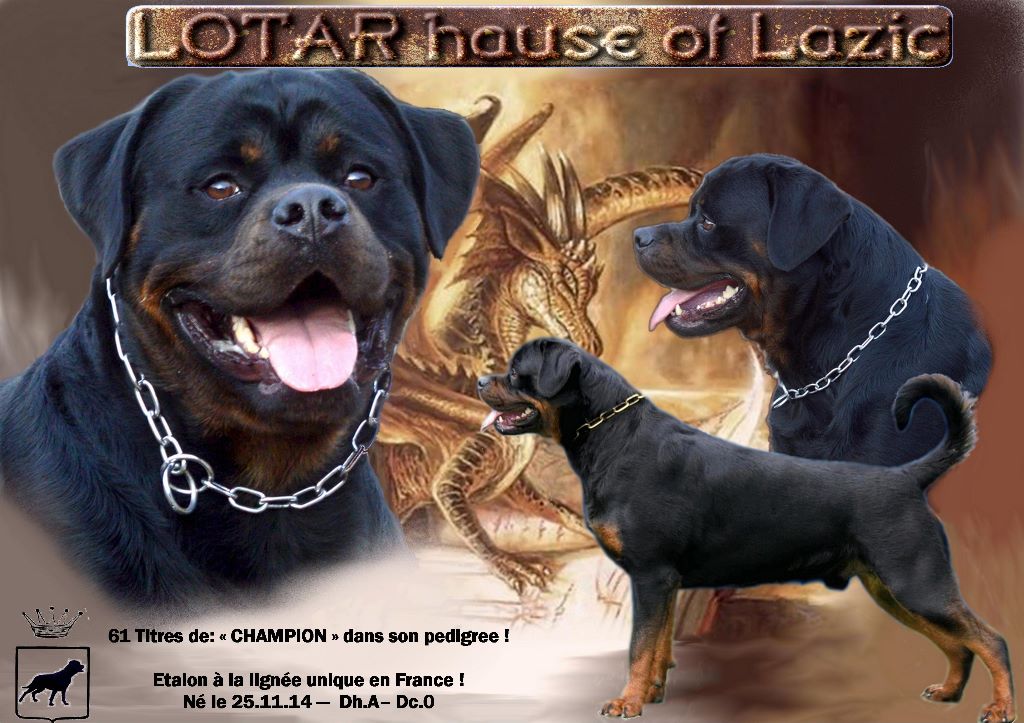 Lotar house of lazic