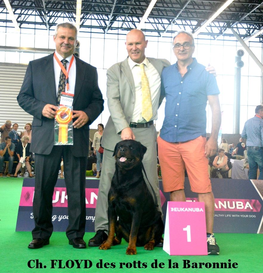 des Rotts de la Baronnie - FLOYD Champion du Monde 2018