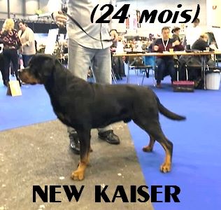 des Rotts de la Baronnie - Un nouveau Champion !