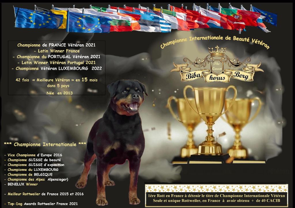 des Rotts de la Baronnie - Championne Internationale de Beauté Vétéran