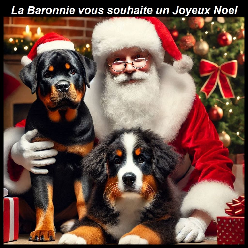 Joyeux Noêl