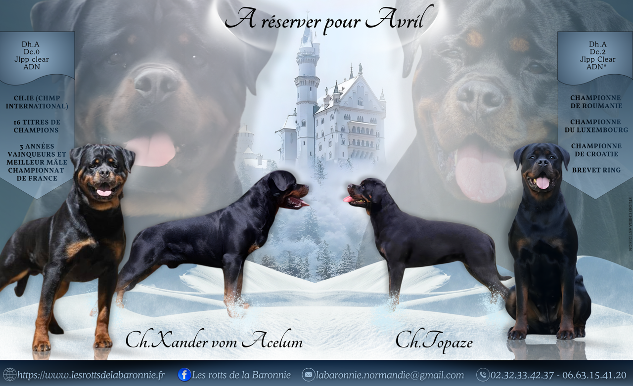 Portée annoncée pour 2 multi Champions