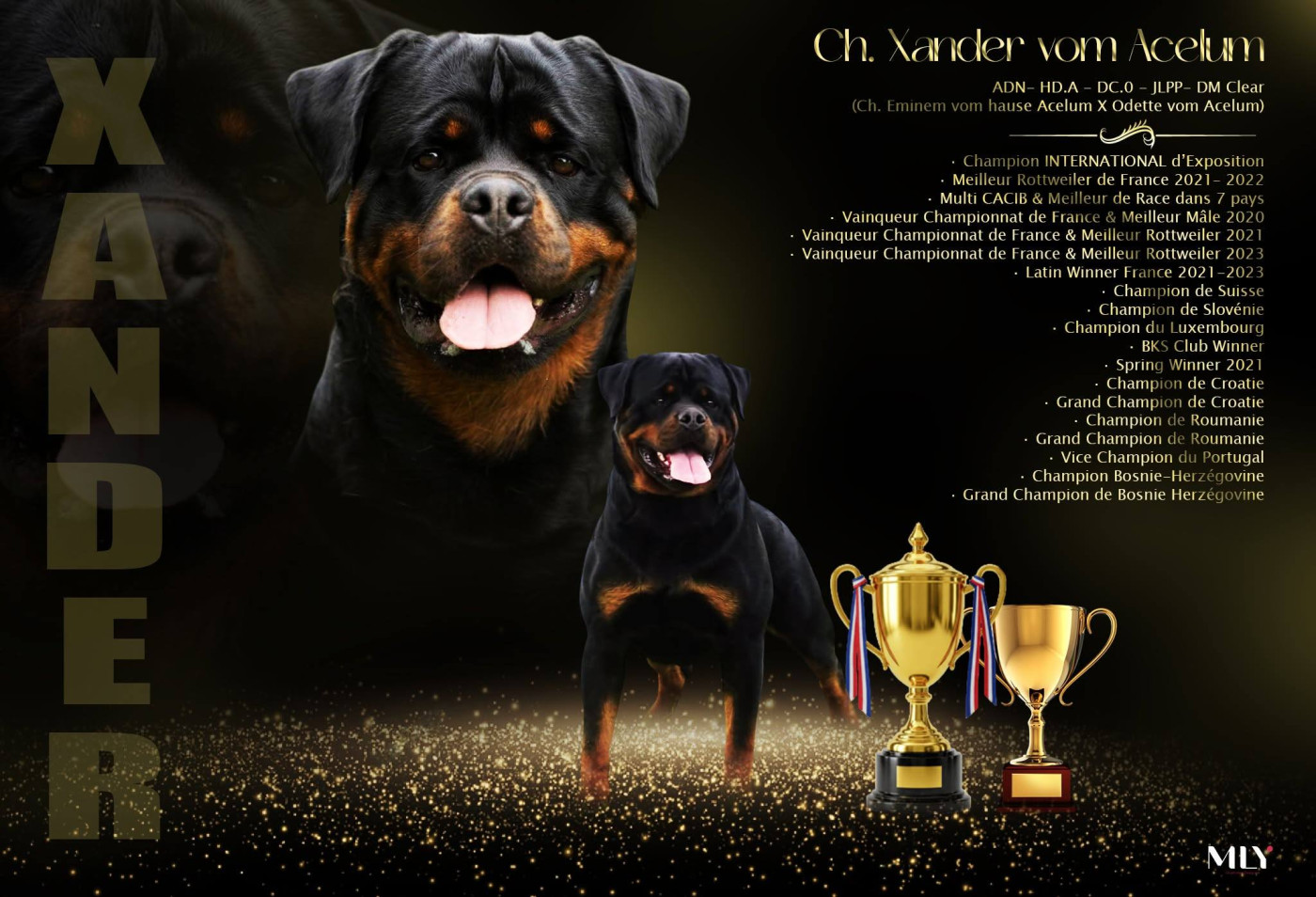 Un étalon, hors normes !